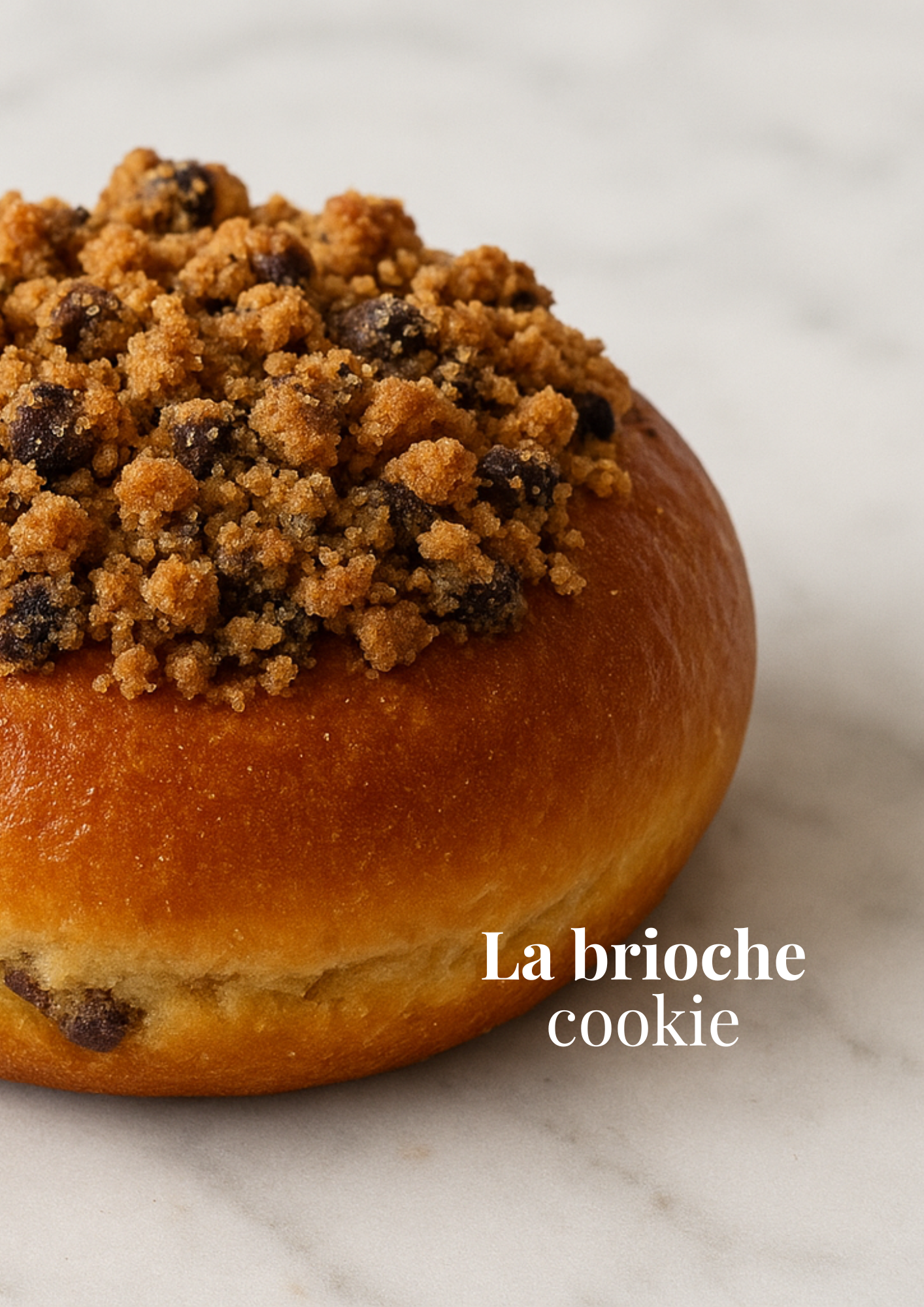Saveurs briochée en ebook + une recette Végan offerte